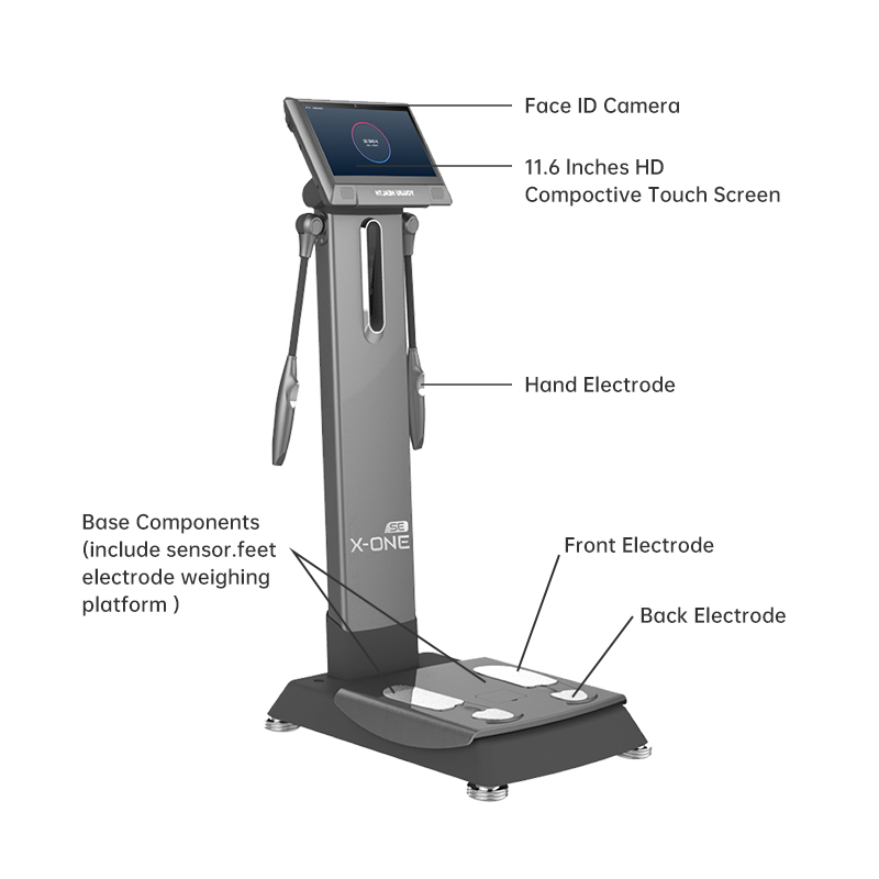 X ONE SE Body Massager Full Bo - đánh giá và giá Nutrition Fitness Training